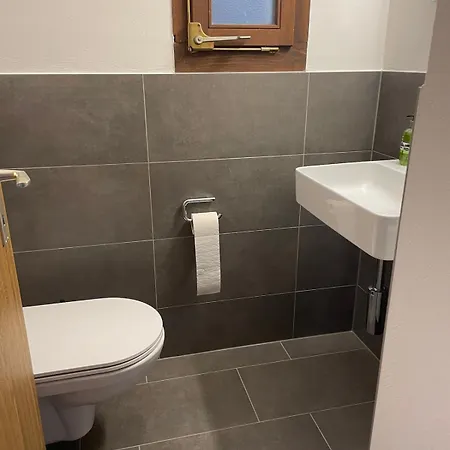 Alpine Parsenn Apartman Davos